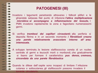 PATOGENESI (III) Invadono  i  tegumenti  penetrando  attraverso  i  follicoli  piliferi  e  le  ghiandole  sebacee. Nel  punto  di  infezione  l'attiva  moltiplicazione  microbica si  accompagna  a  infiammazione   del  tessuto .  I  PMN  invadono  rapidamente  la  zona  e  fagocitano  numerosissimi  germi. Si  verifica  trombosi  dei  capillari  circostanti;  alla  periferia  si  deposita  fibrina  e  in  un  secondo  momento  i  fibroblasti  creano  una  parete  relativamente  avascolare  intorno  all' area  interessata. A  sviluppo  terminato, la  lesione  stafilococcica  consta  di  un  nucleo  centrale  di  germi  e  leucociti  morti  o  moribondi, che  gradualmente  si  lisano  per  formare  il  caratteristico  pus  denso, cremoso, circondato  da  una  parete  fibroblastica Quando  le  difese  dell' ospite  sono  incapaci  di  limitare  l' infezione  cutanea  o  sottocutanea, gli  stafilococchi  possono  invadere  il  torrente  circolatorio.  
