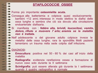 STAFILOCOCCIE  OSSEE Forma  più  importante:  osteomielite  acuta.   Consegue alla  batteriemia  e  colpisce  quasi  esclusivamente  bambini  <12  anni; interessa  in  modo  elettivo  le  diafisi  delle  ossa  lunghe  e  sembra  che  ciò  sia  dovuto  alla  circolazione  endoarteriale  diafisaria. Si  manifesta  con :   febbre alta, brividi, leucocitosi, vomito, dolore, rifiuto  a  muovere  l' arto; anemia  se  la  malattia  non  è  trattata. Nell' adolescente  o  del  giovane  adulto  colpisce  invece  le  metafisi  delle  ossa  lunghe;  rara  la  spondilite. Molti  pazienti  lamentano  un  trauma  nella  sede  colpita  dall' infezione. DIAGNOSI : Emocultura :  positiva  nel  50 - 60 %  dei  casi  all' inizio  della  malattia Radiografia :  evidenzia  rarefazione  ossea  e  formazione  di  nuovo  osso  solo  durante  la  II  settimana Scintigrafia :  può  essere  alterata  già  durante  la  I  settimana  quando  il  quadro  radiografico  è  normale   