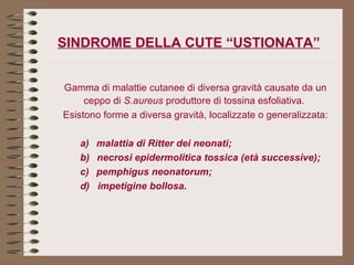 SINDROME DELLA CUTE “USTIONATA”   Gamma di malattie cutanee di diversa gravità causate da un ceppo di  S.aureus  produttore di tossina esfoliativa.  Esistono forme a diversa gravità, localizzate o generalizzata: a)     malattia di Ritter dei neonati; b)     necrosi epidermolitica tossica (età successive); c)     pemphigus neonatorum; d)  impetigine bollosa.   