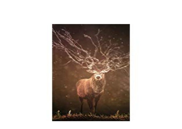 Book Paperback Library Stag Deer Male Buck Horns Mist Big North Ameri