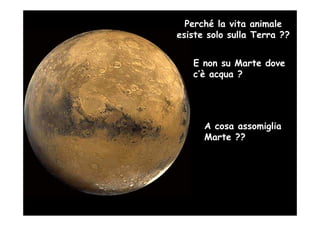 Perché la vita animale
esiste solo sulla Terra ??


   E non su Marte dove
   c’è acqua ?




      A cosa assomiglia
      Marte ??
 