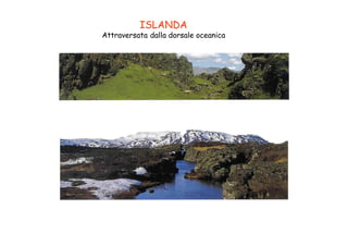 ISLANDA
Attraversata dalla dorsale oceanica
 