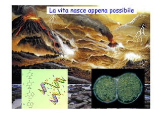 La vita nasce appena possibile
                 La terra primordiale
 