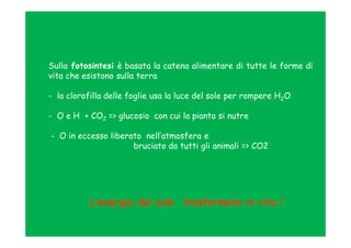 Sulla fotosintesi è basata la catena alimentare di tutte le forme di
vita che esistono sulla terra

- la clorofilla delle foglie usa la luce del sole per rompere H2O

- O e H + CO2 => glucosio con cui la pianta si nutre

- O in eccesso liberato nell’atmosfera e
                     bruciato da tutti gli animali => CO2




           L’energia del sole trasformata in vita !
 