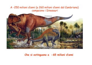 A -250 milioni d’anni (a 260 milioni d’anni dal Cambriano)
                  compaiono i Dinosauri




            Che si estinguono a - 65 milioni d’anni
 