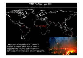 AATSR Fire Atlas - year 2003




 Ogni anno scompaiono 10 e i 13 milioni
di ettari di foreste e con esse si riduce la
capacità della natura di sottrarre anidride
carbonica all’atmosfera e di produrre ossigeno.
 