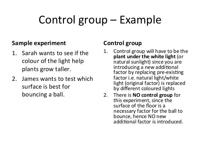 Example Of A Control Group 33