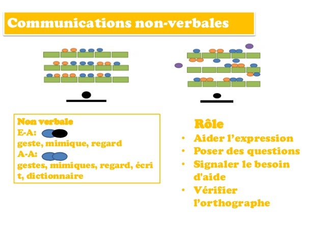 Stage d'observation