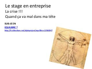 Le stage en entreprise
La crise !!!
Quand ça va mal dans ma tête
SUIS-JE EN
EQUILIBRE ?
http://fr.slideshare.net/alpinproject/equilibre-12560347
 