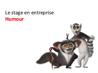 Le stage en entreprise
Humour
 