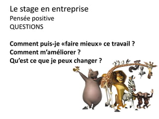 Le stage en entreprise
Serviabilité
Une question de regard.
Une question d’empathie.
Suis-je au clair ?
 
