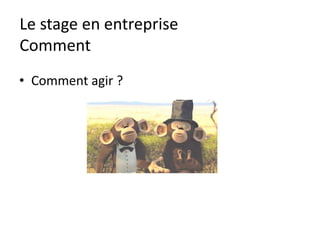 Le stage en entreprise
Pensée positive
QUESTIONS
Avez-vous une minute pour moi ?
Qu’est ce que je dois faire ?
Qu’est ce que je dois apprendre ?
Qu’attendez-vous de moi ?
 