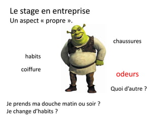 Le stage en entreprise
Pensée positive
QUESTIONS
Ce stage est
important pour
moi, quel
travail pouvez
vous me
donner ?
 