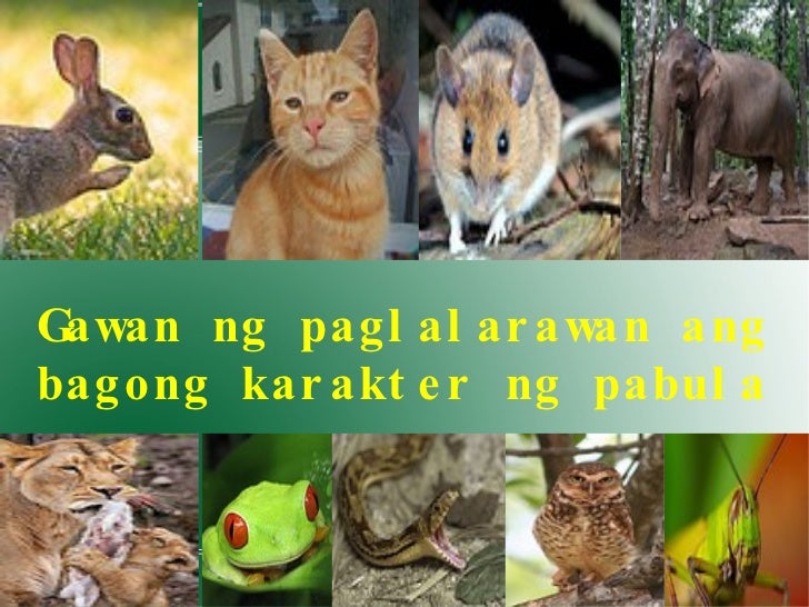 Ang Matsing at Pagong