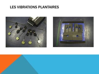 LES VIBRATIONS PLANTAIRES
 