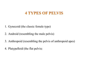 1. Gynecoid (the classic female type)
2. Android (resembling the male pelvis)
3. Anthropoid (resembling the pelvis of anthropoid apes)
4. Platypelloid (the flat pelvis)
 