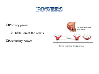 Primary power
Dilatation of the cervix
Secondary power
 