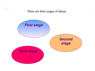 Stages Of Labour