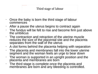 Stages Of Labour