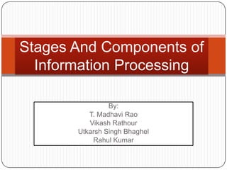 Stages And Components of
  Information Processing

                By:
          T. Madhavi Rao
          Vikash Rathour
       Utkarsh Singh Bhaghel
           Rahul Kumar
 