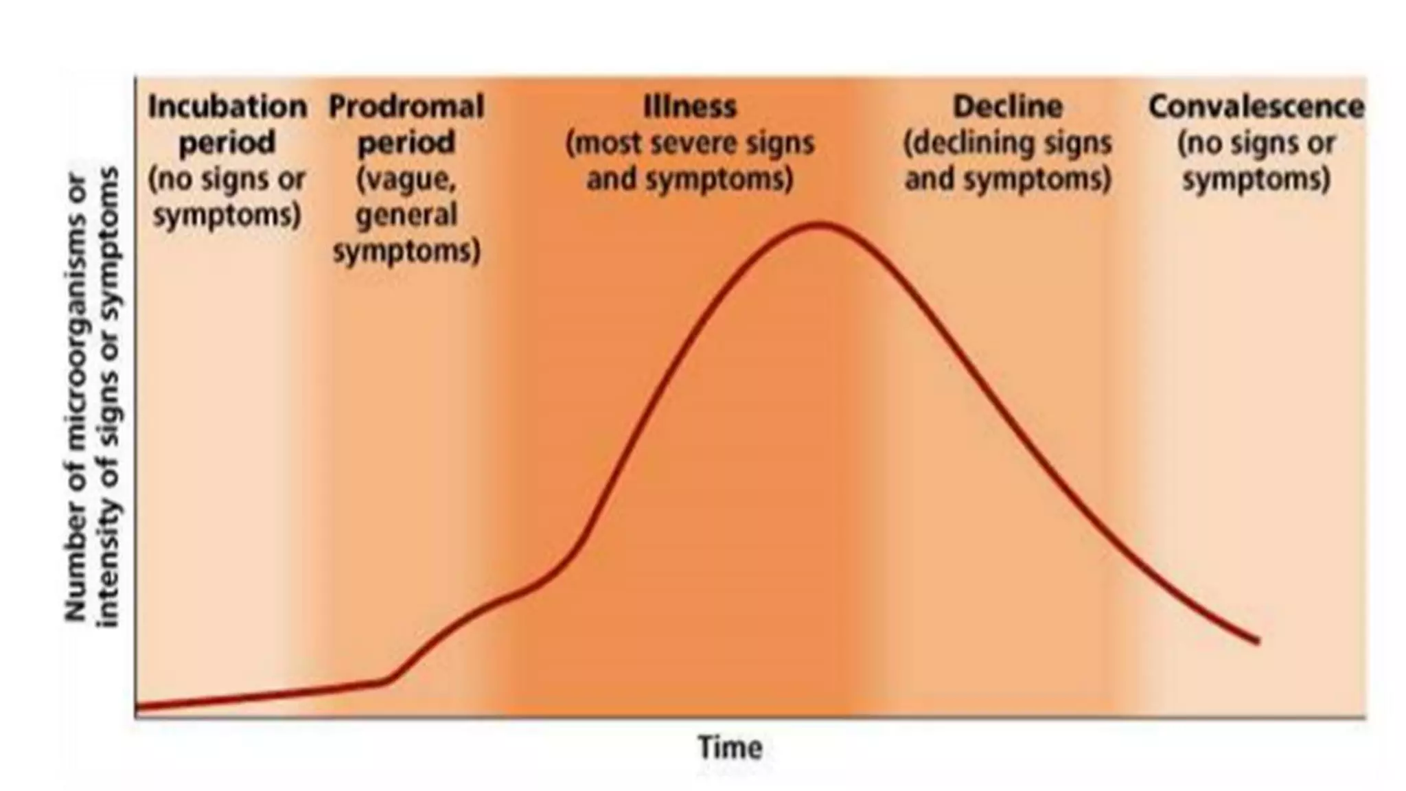 STAGES INFECTION.pptx