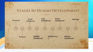 STAGES IN HUMAN DEVELOPMENT.a progressive series of changes that occur ...