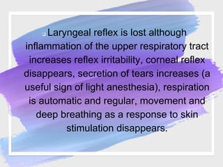  Laryngeal reflex is lost although
inflammation of the upper respiratory tract
increases reflex irritability, corneal reflex
disappears, secretion of tears increases (a
useful sign of light anesthesia), respiration
is automatic and regular, movement and
deep breathing as a response to skin
stimulation disappears.
 