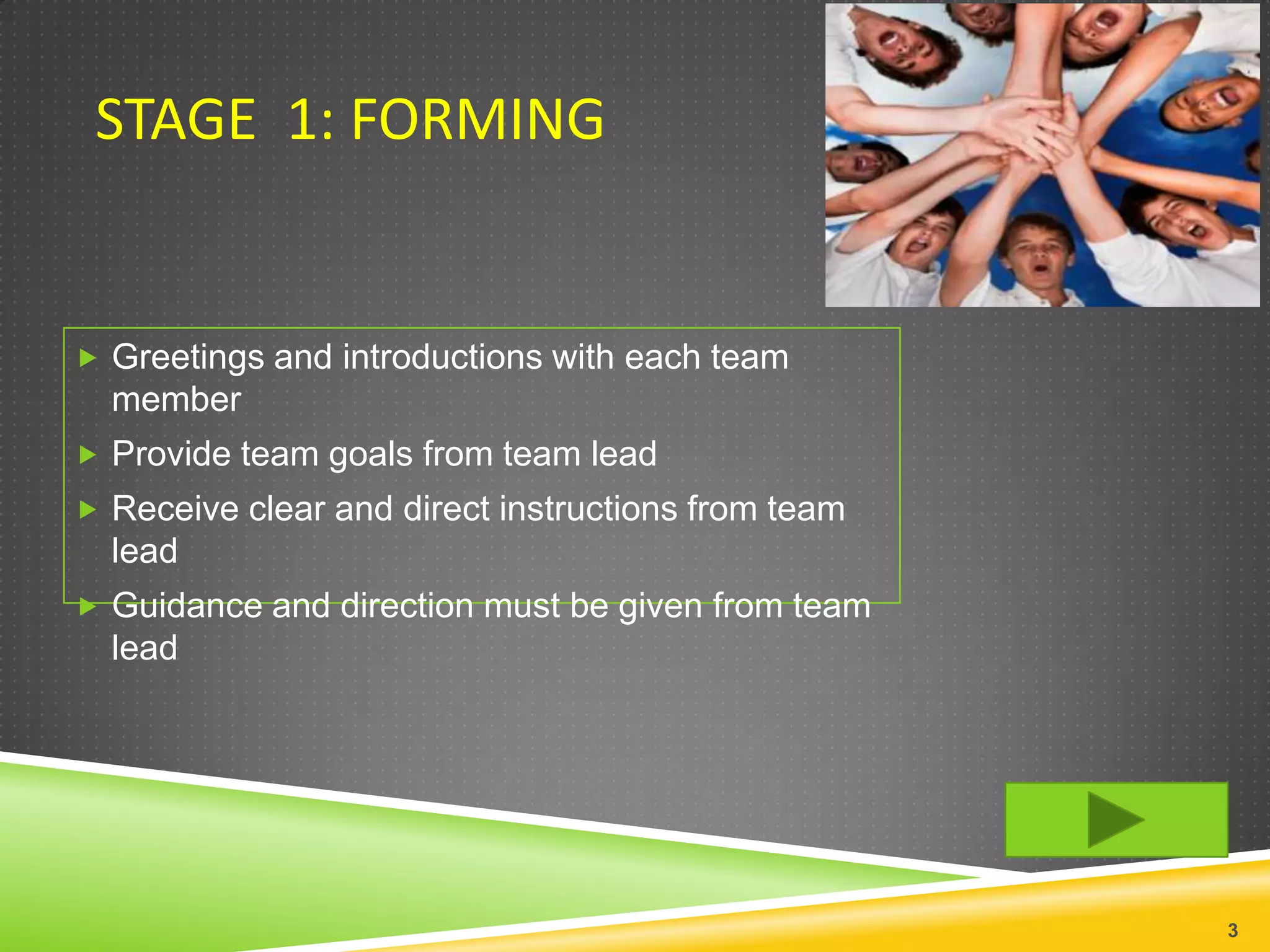 STAGE 1: FORMING


 Greetings and introductions with each team
  member
 Provide team goals from team lead
 Receive clear and direct instructions from team
  lead
 Guidance and direction must be given from team
  lead




                                                    3
 