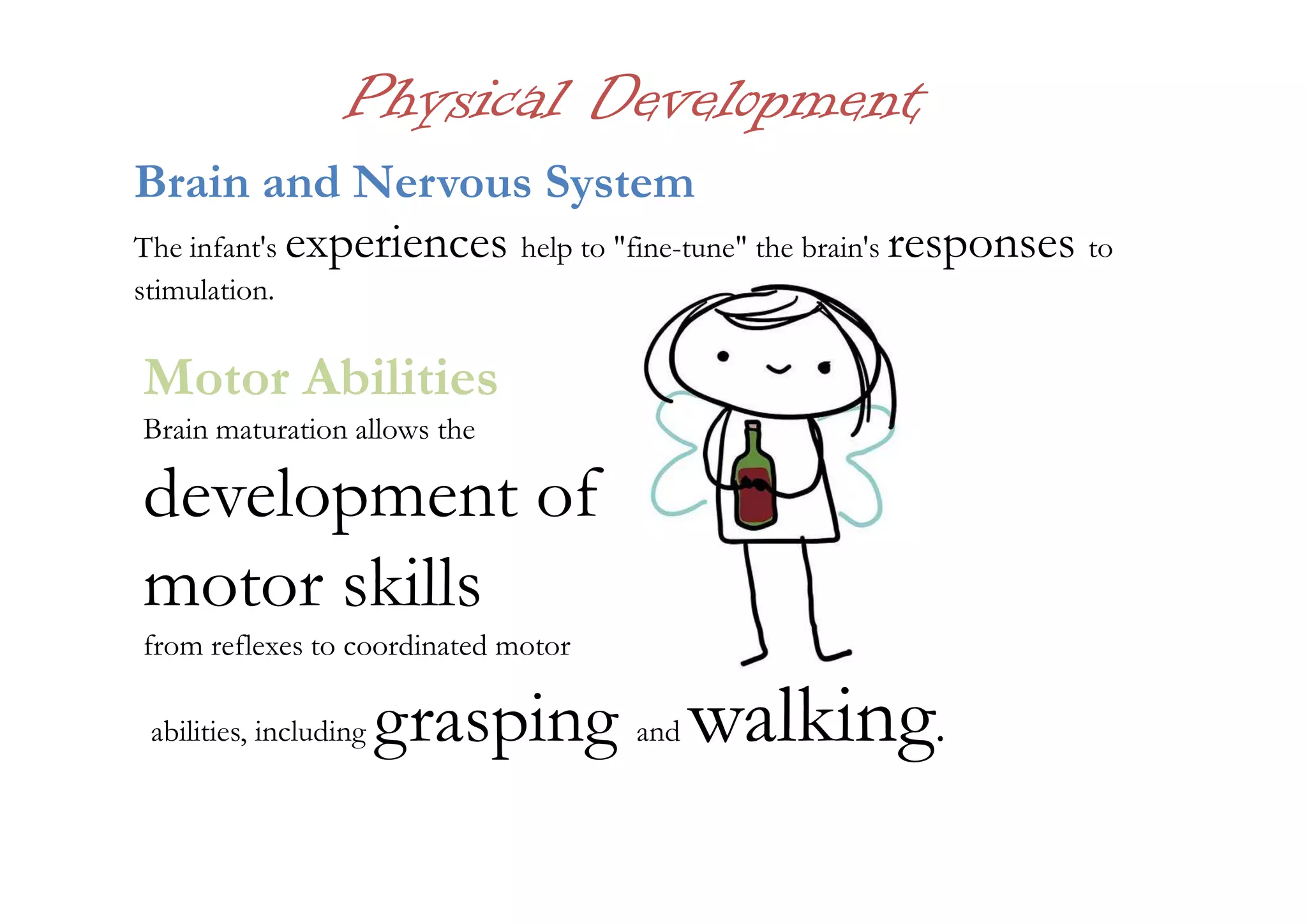 Physical Development
Brain and Nervous System
The infant's experiences help to "fine-tune" the brain's responses to
stimulation.
Motor Abilities
Brain maturation allows the
development ofdevelopment of
motor skills
from reflexes to coordinated motor
abilities, including grasping and walking.
 