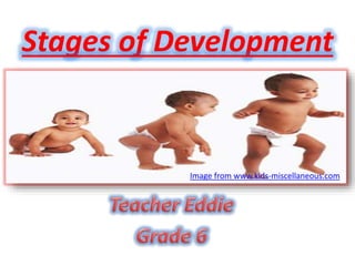 Stages of Development
Image from www.kids-miscellaneous.com
 