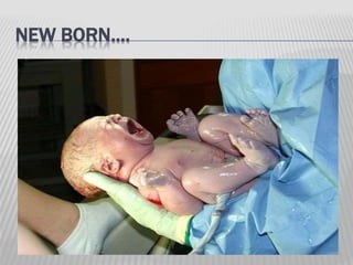 NEW BORN….
 