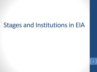 Stages and Institutions in EIA
1
 
