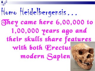 Homo Heidelbergensis…
They came here 6,00,000 to
1,00,000 years ago and
their skulls share features
with both Erectus and
modern Sapiens.
 
