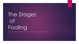 The Stages
of
Foaling
A BASIC STEP BY STEP GUIDE TO THE STAGES OF FOALING
 