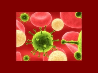 Stages of HIV Infection 
HIV infect cells in the Lymphatic 
and Central Nervous System 
 