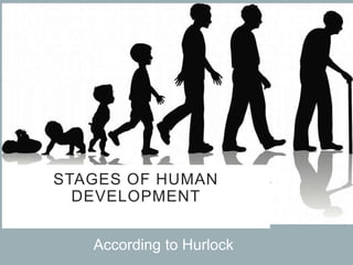 STAGES OF HUMAN
DEVELOPMENT
According to Hurlock
 