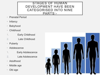 Stages of Human development According to the Hurlock. | PPT | Parenting ...