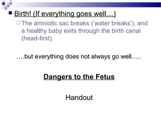  Birth! (If everything goes well…)
The amniotic sac breaks (‘water breaks’), and
a healthy baby exits through the birth canal
(head-first).
….but everything does not always go well…..
Dangers to the Fetus
Handout
 
