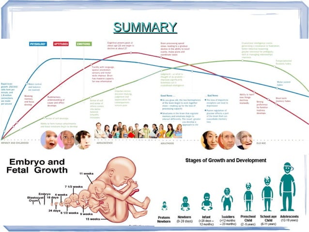 Stages of Human Growth (Pre-natal development - Senescence) | PPT