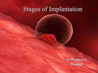 Stages of Implantation
Dr.Pavithra.A
Pharm.d
 