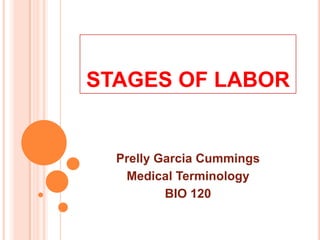 STAGES OF LABOR Prelly Garcia Cummings Medical Terminology BIO 120 