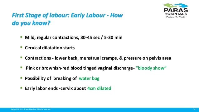 labor stages