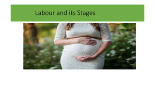 Labour and its Stages
 