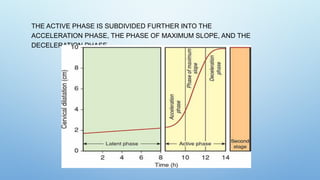 Stages of labour presentation in obstetrics.pptx