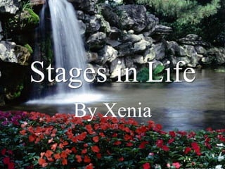 Stages in Life By Xenia 