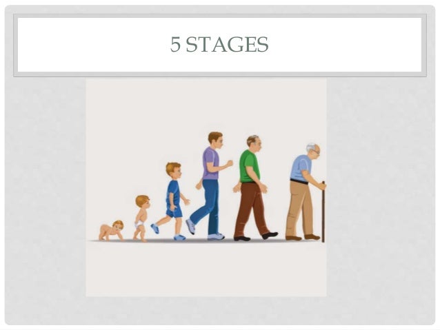 Stages of life 3rd primary
