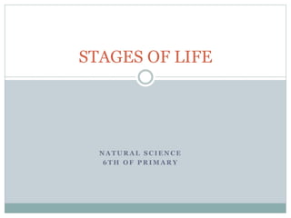 N A T U R A L S C I E N C E
6 T H O F P R I M A R Y
STAGES OF LIFE
 