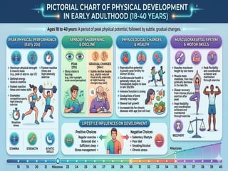 Stages of Life Span Development | PDF