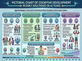 Stages of Life Span Development | PDF