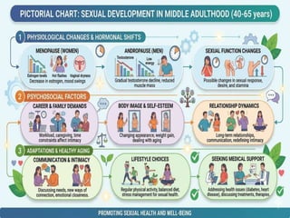 Stages of Life Span Development | PDF